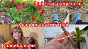Купили дом. Стрим на ВК. Шашлык. Баня. Дождь опять. Жизнь на юге.