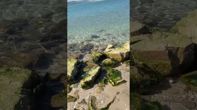 Весна 2026 года.