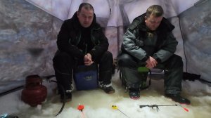 Зимняя рыбалка 2025. Поставили палатку, прикормили и понеслось!