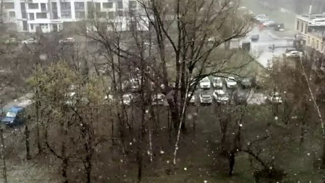 Снег с дождем в Москве