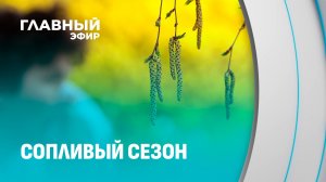 Как "выжить" аллергикам в пыльцевую бурю? Концентрация пыльцы в воздухе в разы превышает норму