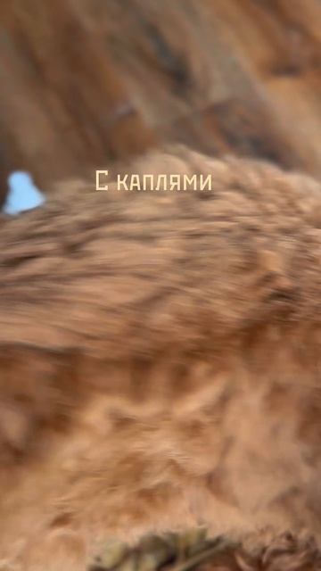 Когда сменили пуходерку