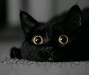 НОВОСТИ О ВИДЕО