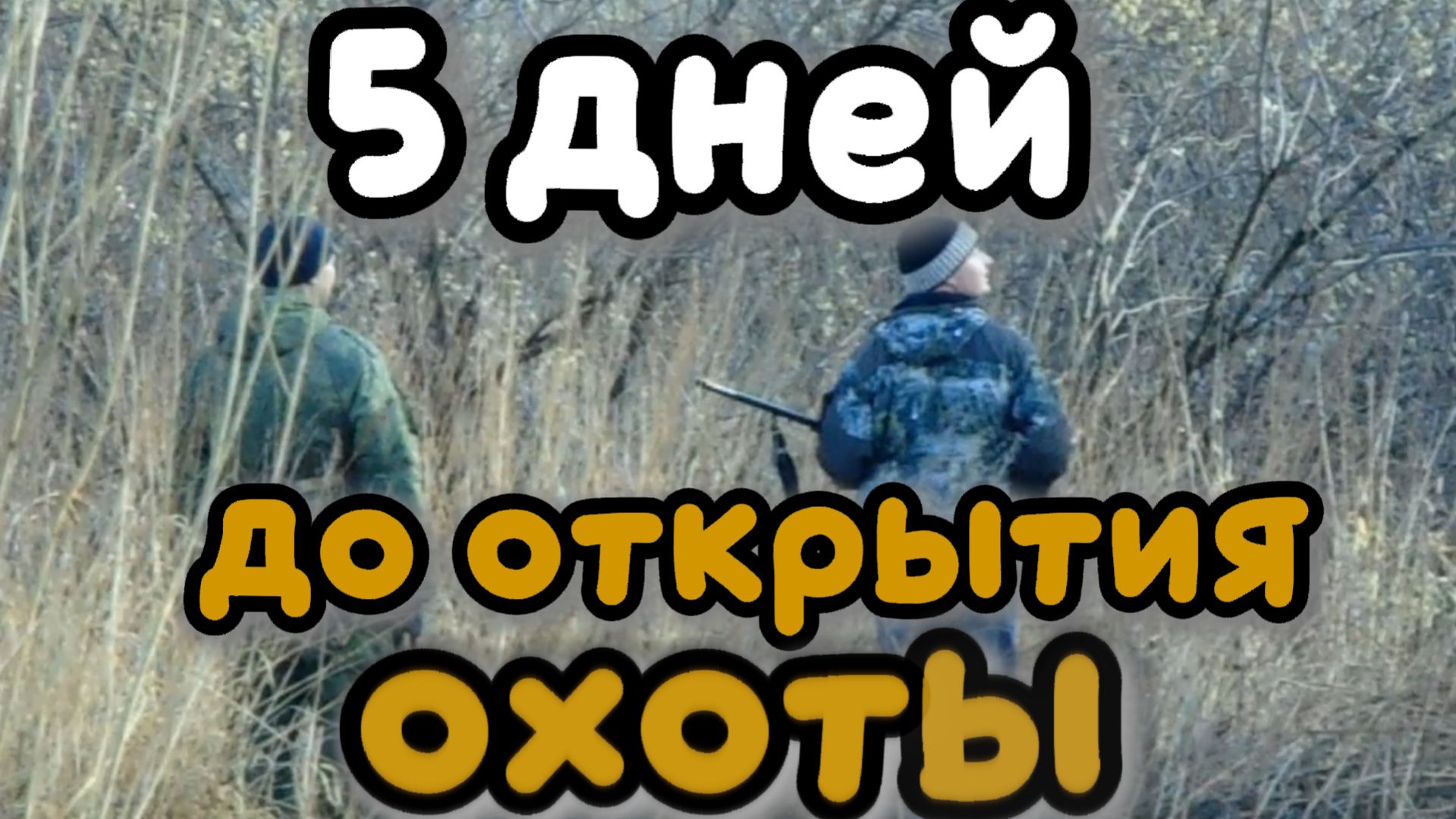 Пять дней до открытия
