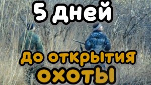 Пять дней до открытия