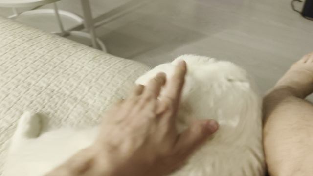 василиса ласксется.mp4