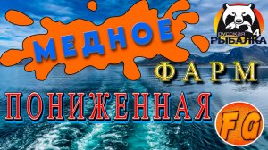 МЕДНОЕ в ПОНИЖЕННУЮ. ФАРМ. Русская рыбалка 4. рр4. Russian Fishing 4