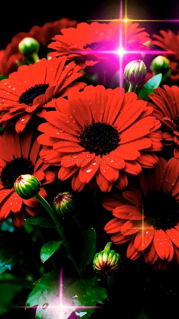 Люблю Тебя!