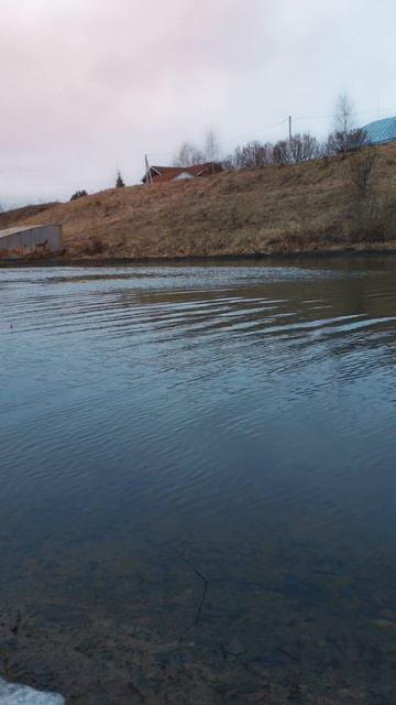 Хочу на рыбалку, отпустите меня! #рыбалка #fishing #fishлов76 #shorts #рыба