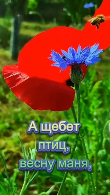 VID_20260419_123925_442.mp4