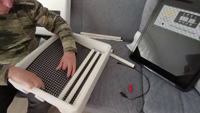 Скоротали время в интресном магазине. Новый инкубатор купили.