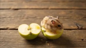 ИИ-Животные