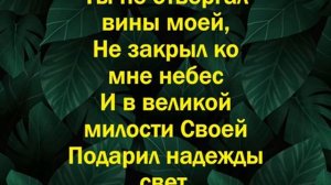 Каюсь Боже пред Тобою (караоке)
