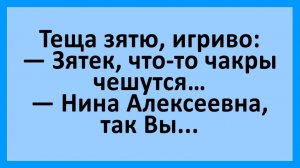 Анекдоты | Тёща заигрывает с зятем... | Анекдоты смешные | Юмор