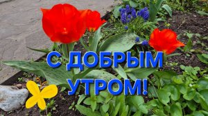 Доброе утро, хорошие люди!