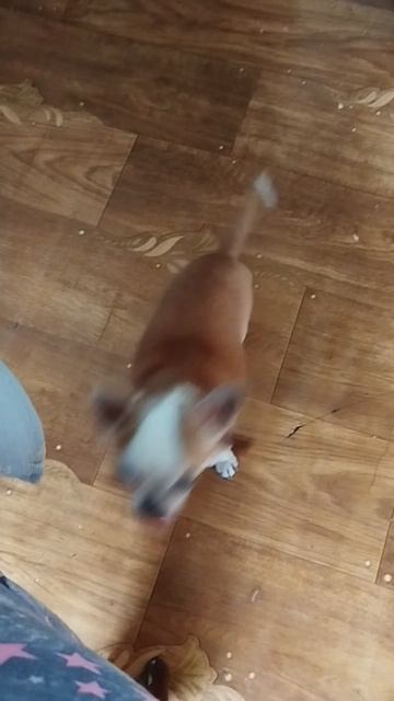 Сыра много не бывает потому что есть Сеня 😁