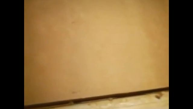 между стенами в проходной квартире