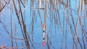 ОТКРЫТИЕ СЕЗОНА ЖИДКОЙ ВОДЫ 2026 || Рыбалка весной на поплавок