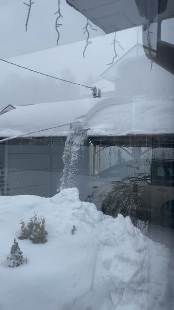 🙈Сугробы…