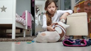 примеряю своей собачке Белле модную одежду