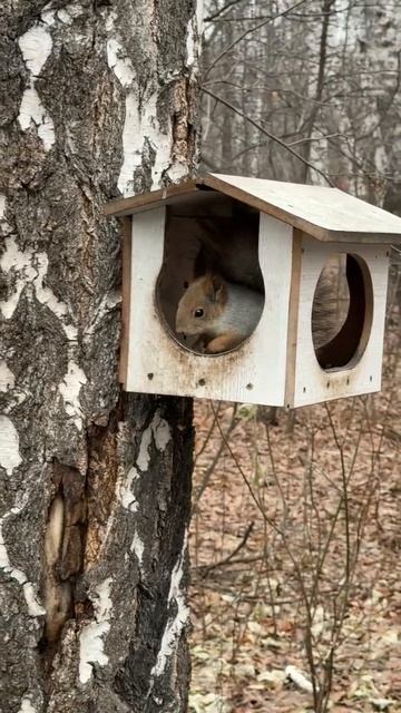 Правдивые слова