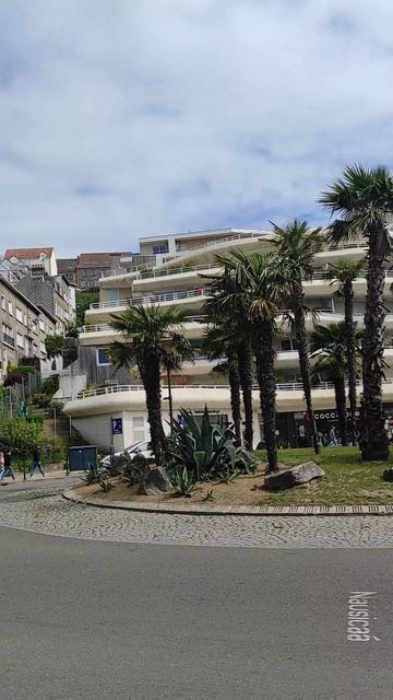 Знакомлюсь с каштанами 🤗🌳🌳