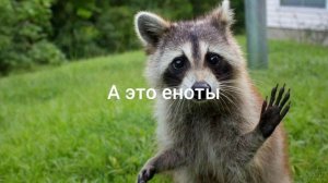 Video.Guru_20260413_130107000