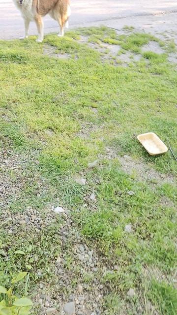 У меня гости круглосуточно!