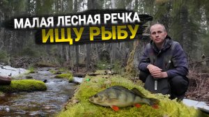 На малую реку с поплавком. Рыбалка и красивая природа.