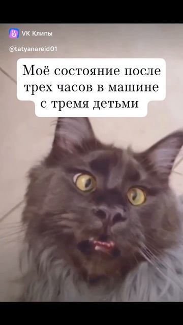 #буднивдекрете