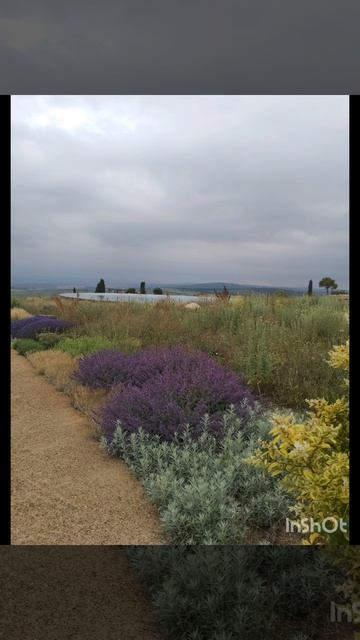 Все ответы Богом нам даны.