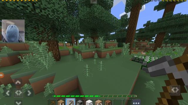 Майнкрафт и марк