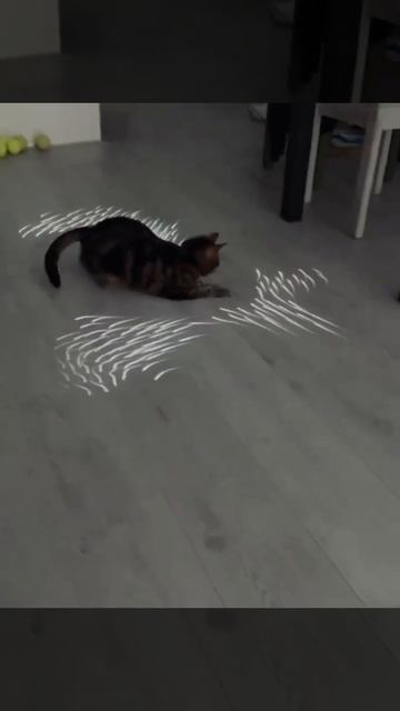 Интерактивная проекция для мелкого