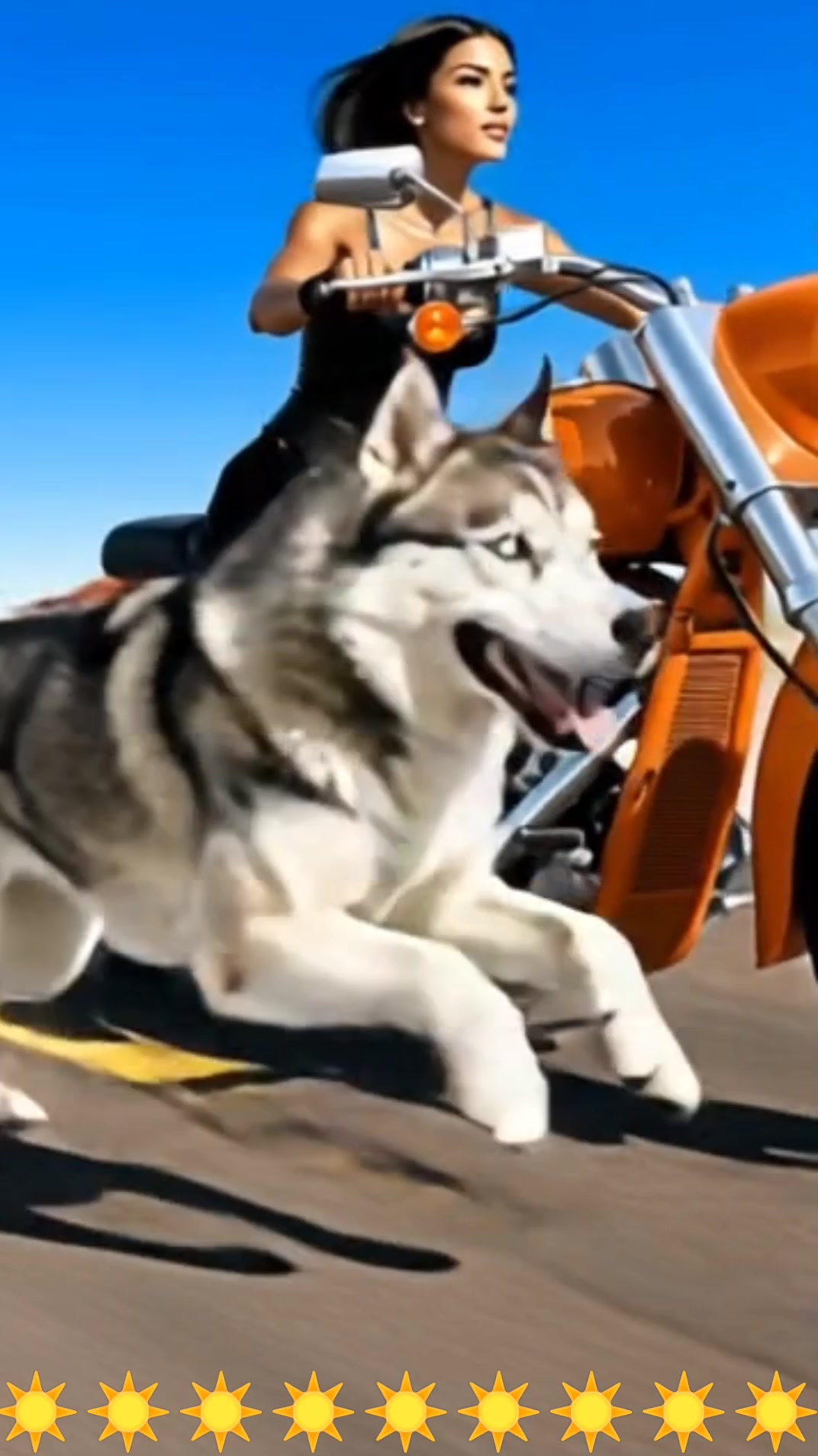 ХАСКИ Байк 🐶