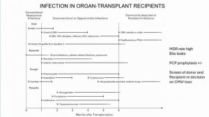 Liver transplant patients in a non-transplant center Julia Wendon ISICEM 45