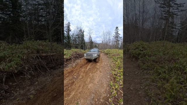 Апрельские Яблочки 2026 Land 200.mp4