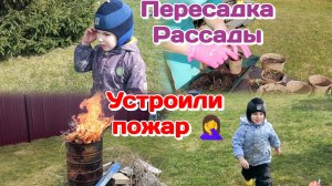 Муж кайфует,ну и хорошо/Пересадка рассады,сарайка,общаемся/Устроили пожар  Часть 2