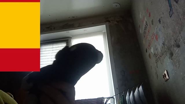 Приключения Квадрата 2 серия: Квадрат - учитель магазинов!