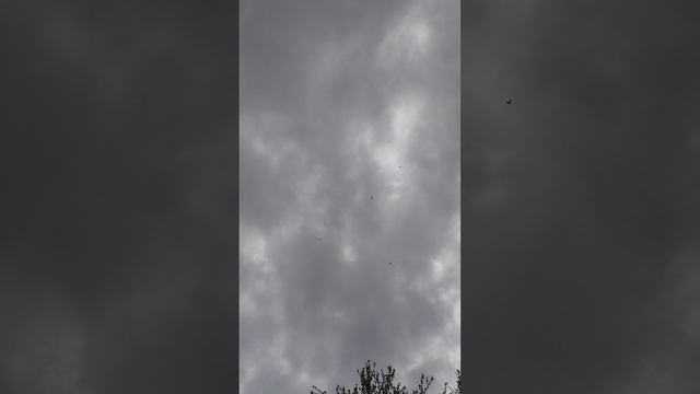 г Мариуполь полёт жучков 🔥🔥🔥