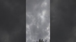 г Мариуполь полёт жучков 🔥🔥🔥