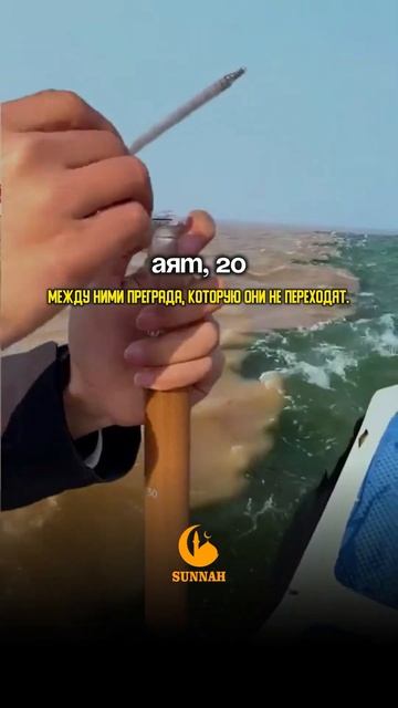 Два разных моря, которые не смешиваются! #хадис #куран #аят #quran