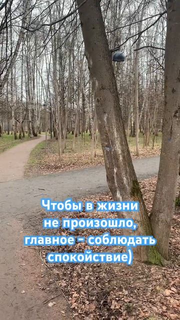 Спокойствие