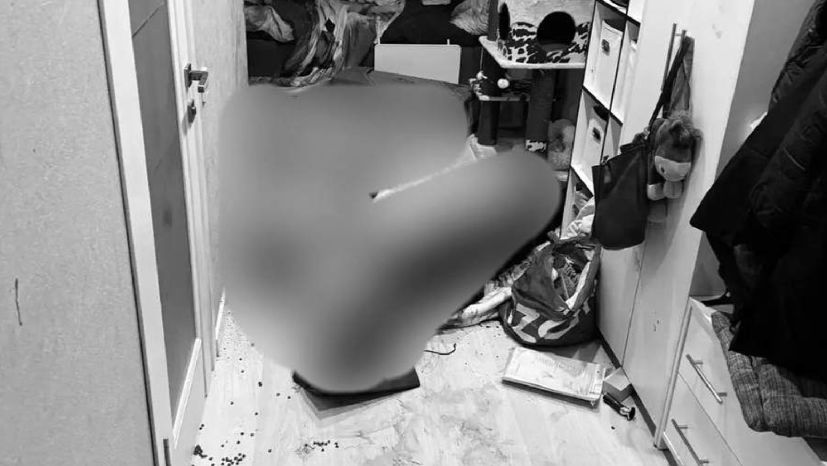 Жена убитого в Мытищах актера хотела развестись