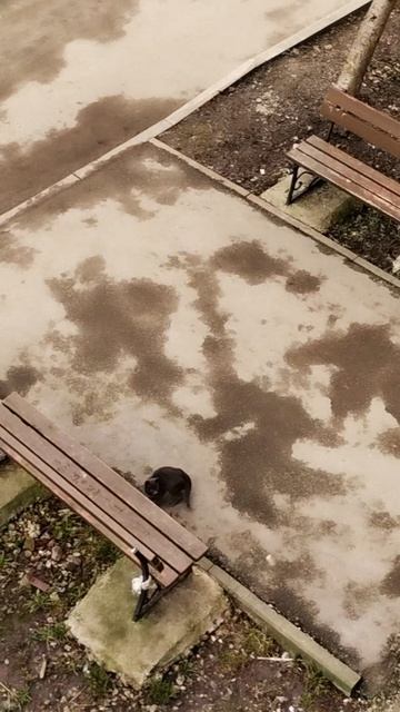 PXL_20260419_133910553