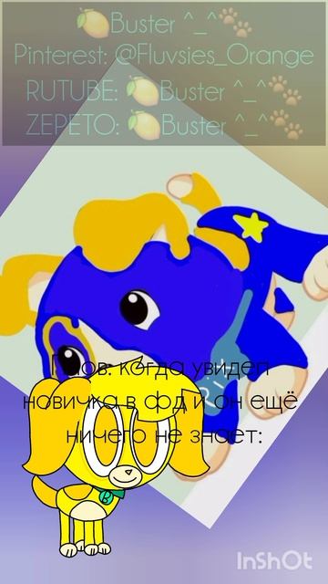 Меня копирует Арина Мандарина с лайка💔