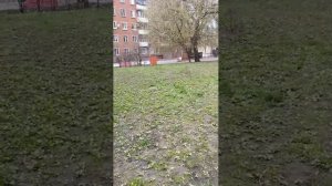 Покатушки на багги | 19-апр-2026