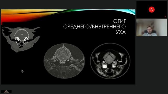 Вебинар "NEUROSCHOOL. МРТ диагностика в ветеринарной практике"