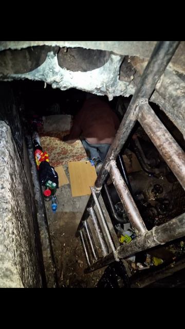 МУЗЫКАЛЬНОЕ СОПРОВОЖДЕНИЕ / (18+)