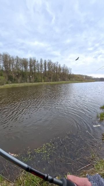 щука на спиннинг