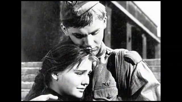 Новый проект 1